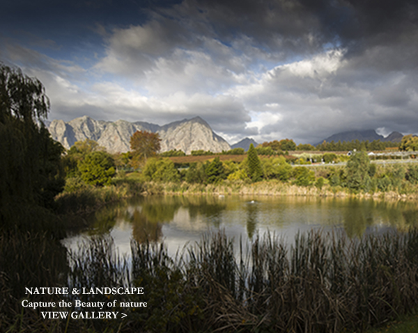 Landscape_thumb